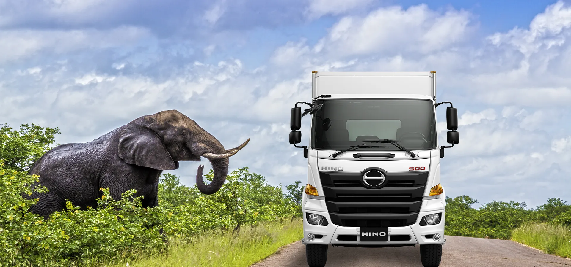 Enrol For A Hino<br>EcoSafe Driving<br>Training Now